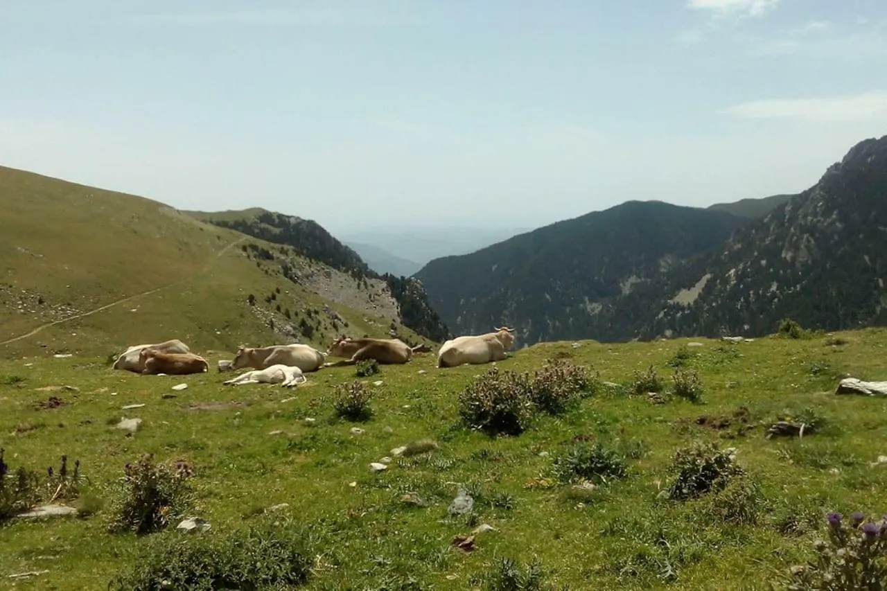 Сasa de vacaciones Villa Ca L'Andreu Ventola